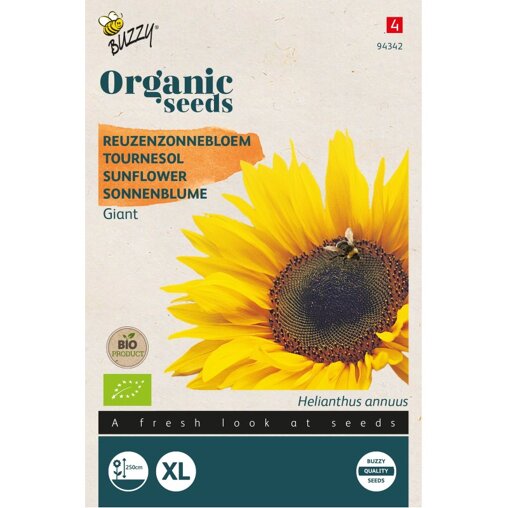 Buzzy ® Bio Helianthus, Reuzenzonnebloem giganteus Voorzijde